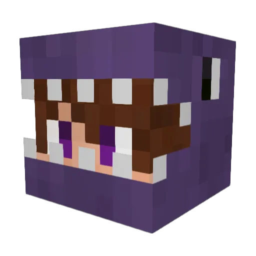 ReversedSoul Minecraft avatar head, 3D render