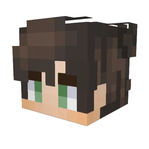Reverso45 Minecraft avatar head, 3D render