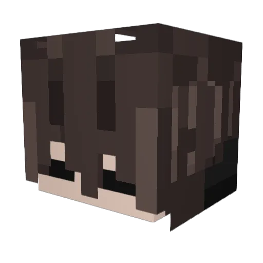 Revexn Minecraft avatar head, 3D render