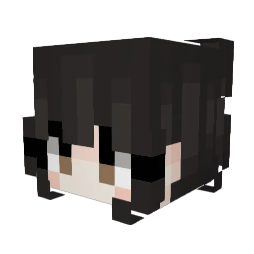 Revianrain Minecraft avatar head, 3D render