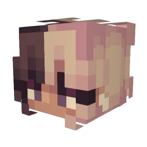 RevisoryToast Minecraft avatar head, 3D render