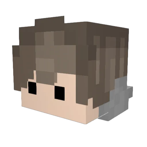 Revius9001 Minecraft avatar head, 3D render