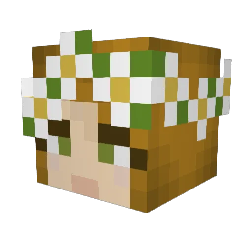 Revlynne Minecraft avatar head, 3D render