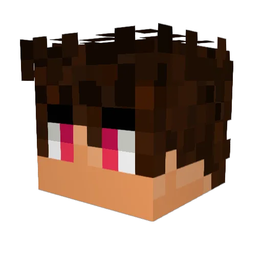 Revmer Minecraft avatar head, 3D render