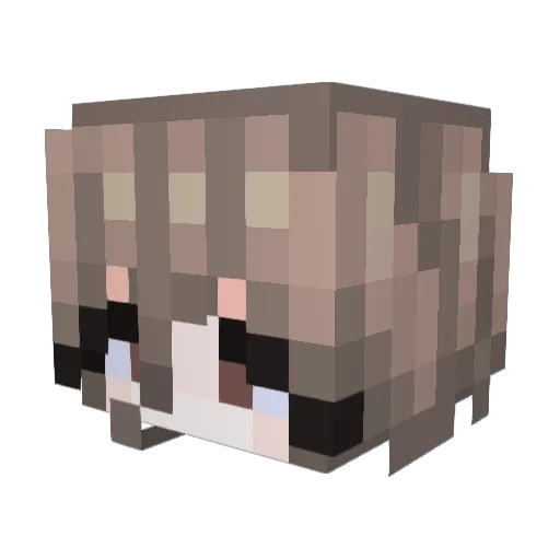 Revnek1 Minecraft avatar head, 3D render