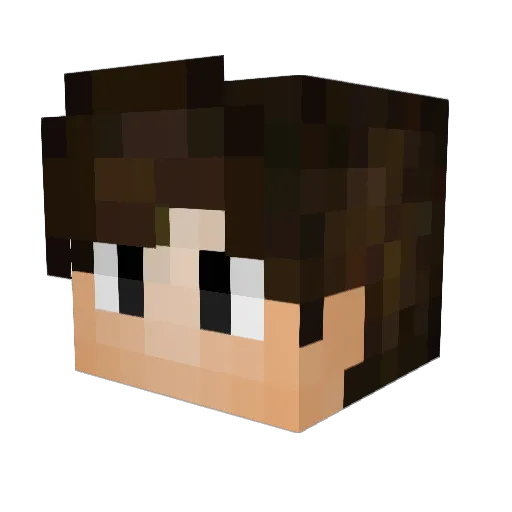 Revo911 Minecraft avatar head, 3D render