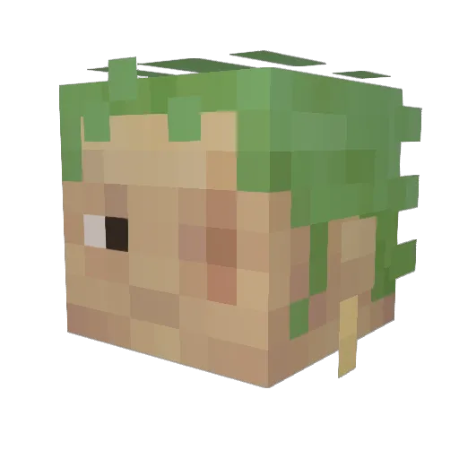 RevoBlake Minecraft avatar head, 3D render