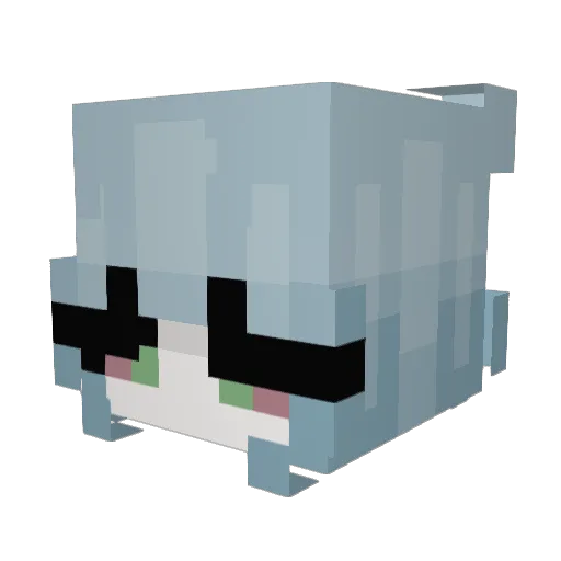 RevoltzzX29 Minecraft avatar head, 3D render