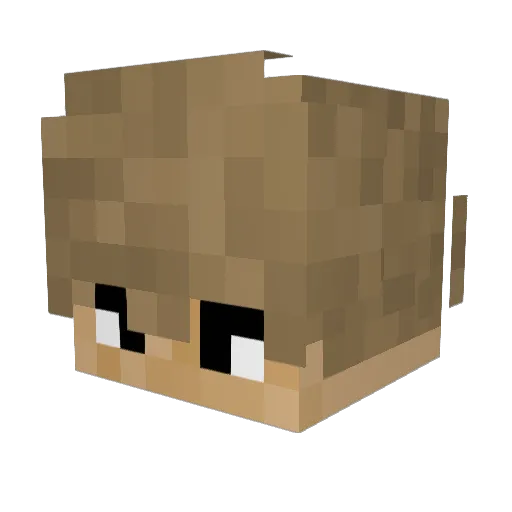 Revoreo Minecraft avatar head, 3D render