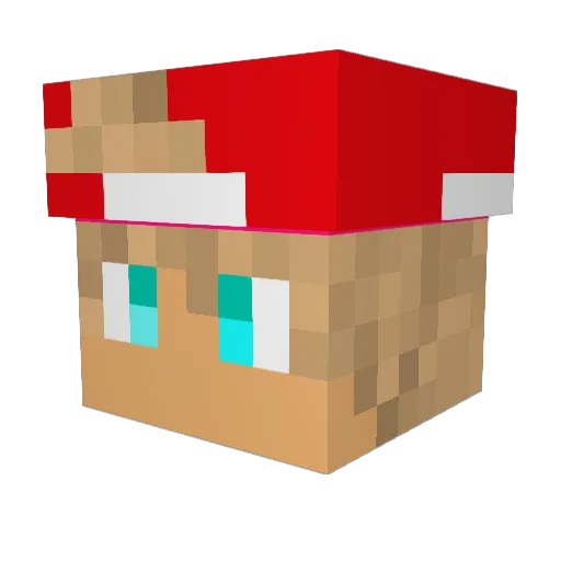 Revrse_Hype Minecraft avatar head, 3D render
