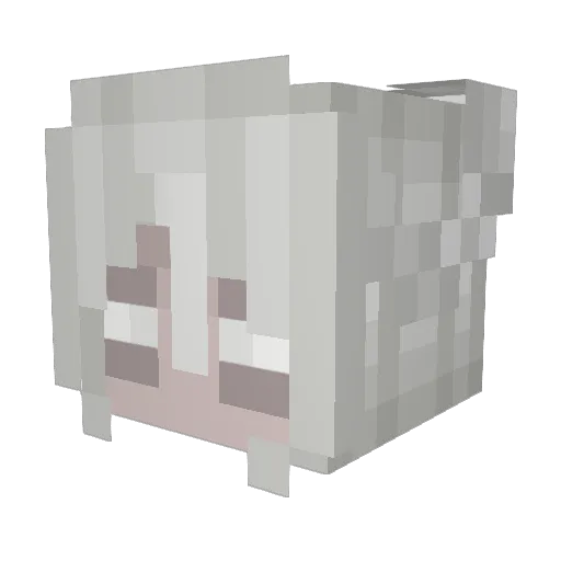Revsii Minecraft avatar head, 3D render