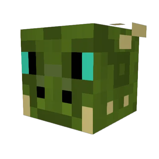 Revvypoo_ Minecraft avatar head, 3D render