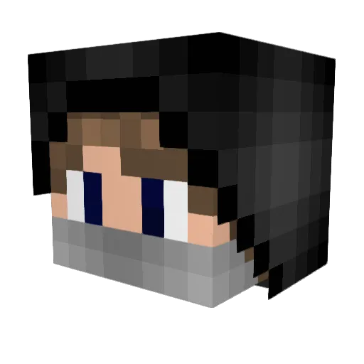 Rew9705 Minecraft avatar head, 3D render