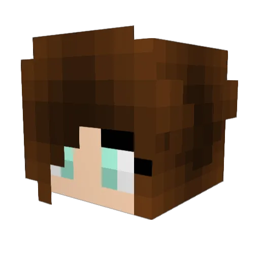 RewOx_77 Minecraft avatar head, 3D render