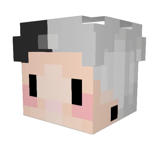Rewqon Minecraft avatar head, 3D render