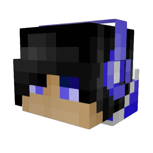Rewyero Minecraft avatar head, 3D render