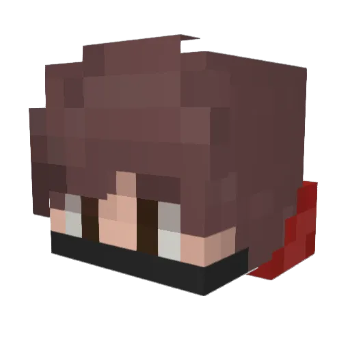 Rex020 Minecraft avatar head, 3D render