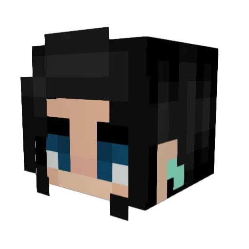 Rex0727_XD Minecraft avatar head, 3D render