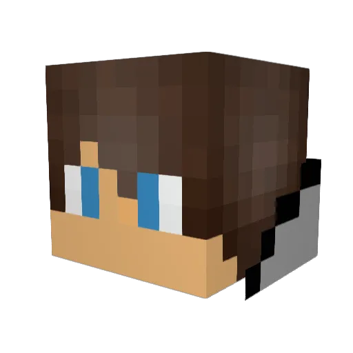Rex1100 Minecraft avatar head, 3D render