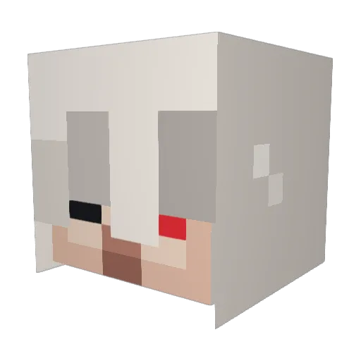 Rex159 Minecraft avatar head, 3D render