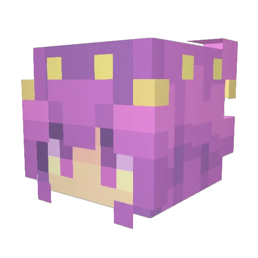Rex21R Minecraft avatar head, 3D render