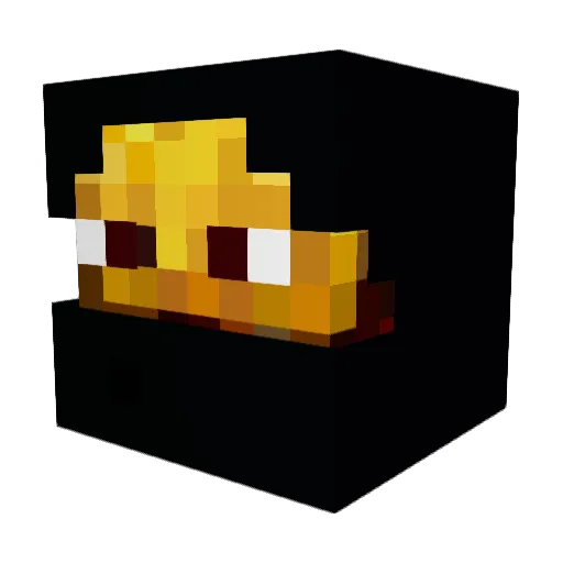 Rex246 Minecraft avatar head, 3D render