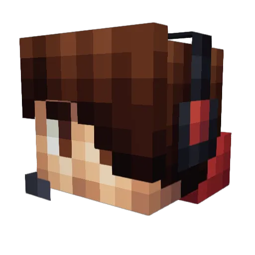 RexBKnight Minecraft avatar head, 3D render