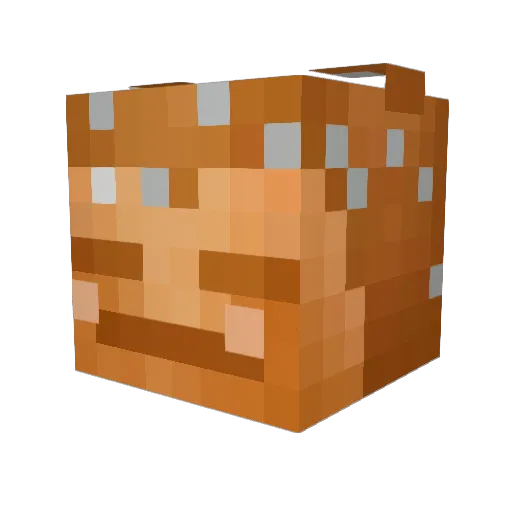 RexDino743 Minecraft avatar head, 3D render