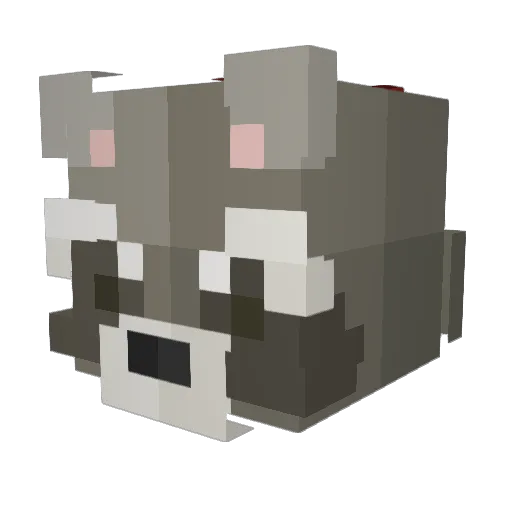 RexRacoon Minecraft avatar head, 3D render