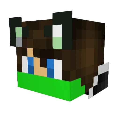 RexTT Minecraft avatar head, 3D render
