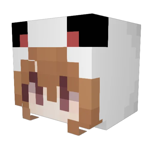 Rex_0810 Minecraft avatar head, 3D render