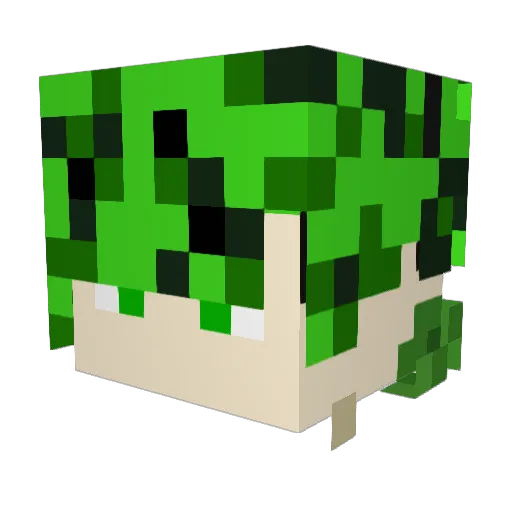 Rex_1234 Minecraft avatar head, 3D render