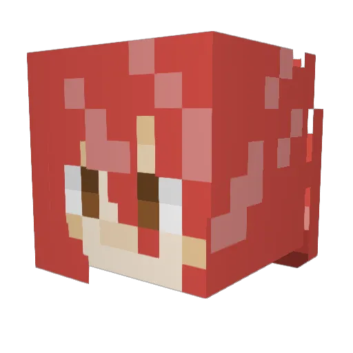 Rex_Bosworth Minecraft avatar head, 3D render