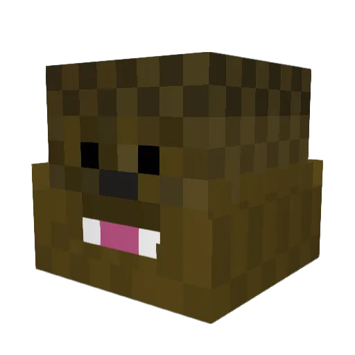 Rex_ignis Minecraft avatar head, 3D render