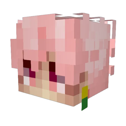 Rexar_Oficial Minecraft avatar head, 3D render