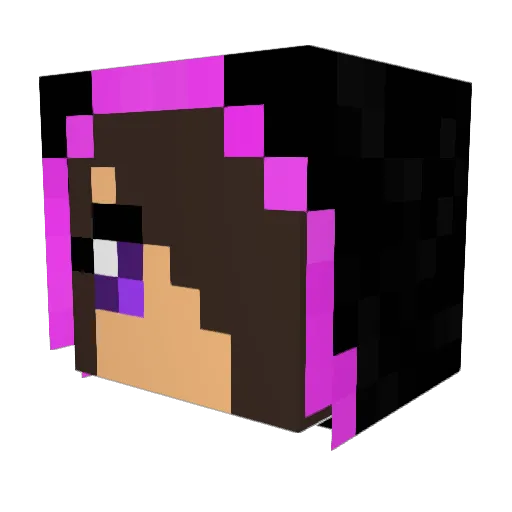 Rexar_Taken Minecraft avatar head, 3D render
