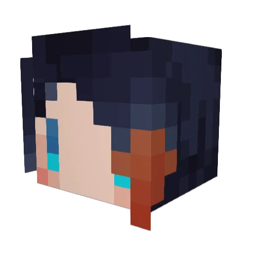 Rexcile Minecraft avatar head, 3D render