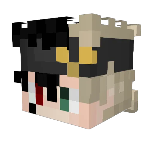 Rexer477 Minecraft avatar head, 3D render
