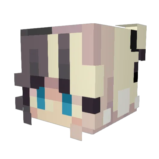 Rexeron Minecraft avatar head, 3D render
