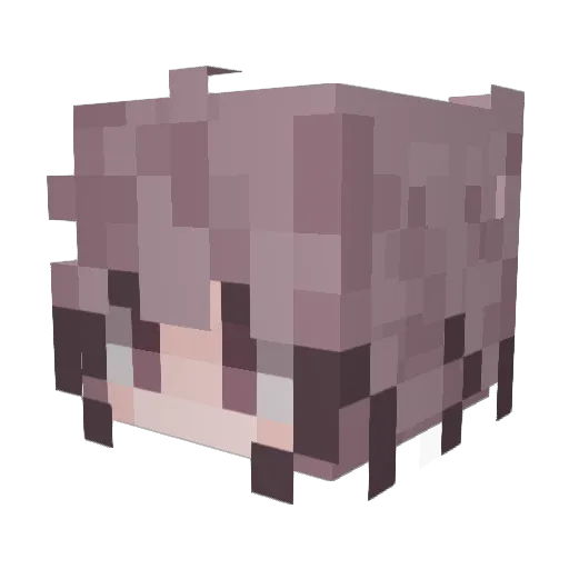 Rexha_ Minecraft avatar head, 3D render