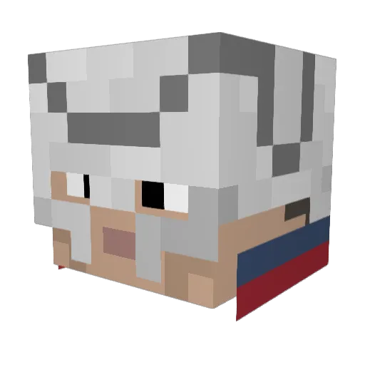 Rexi1 Minecraft avatar head, 3D render