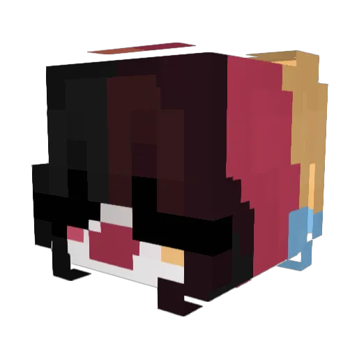 Rexiitarus Minecraft avatar head, 3D render
