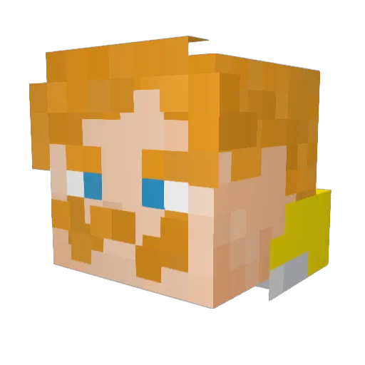 Rexin008 Minecraft avatar head, 3D render