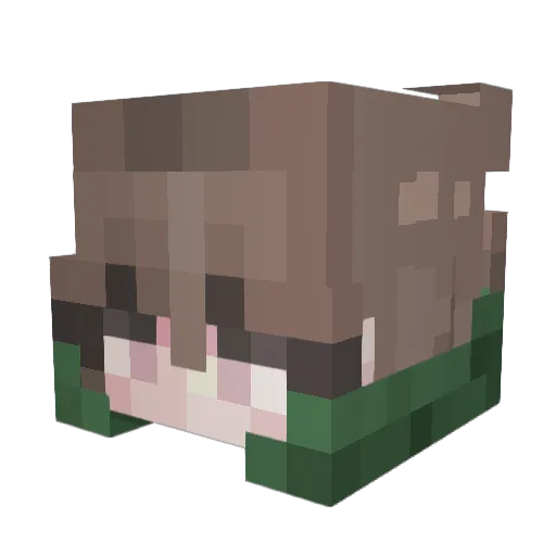 Rexoliaa Minecraft avatar head, 3D render