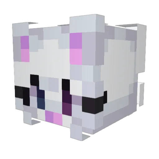 Rexpem Minecraft avatar head, 3D render