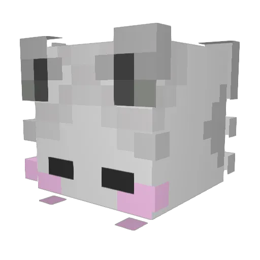 Rexsterx Minecraft avatar head, 3D render