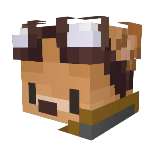 Rextreme8190 Minecraft avatar head, 3D render