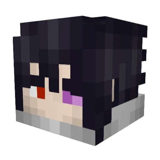 Rextro2011 Minecraft avatar head, 3D render