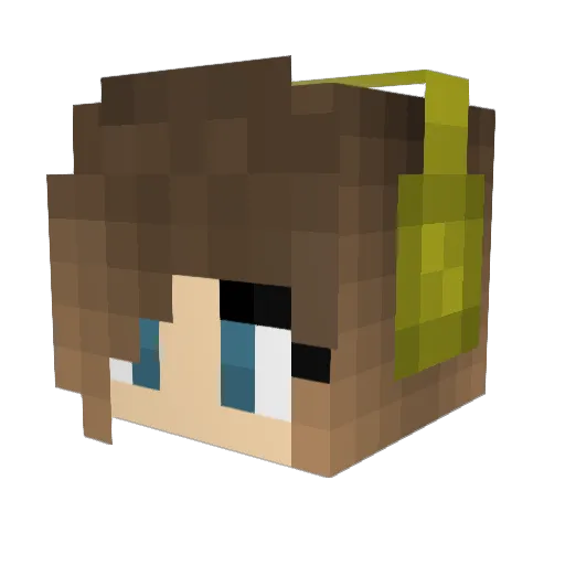 Rexwing00 Minecraft avatar head, 3D render