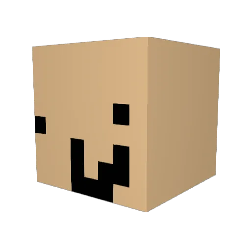 Rexx114 Minecraft avatar head, 3D render
